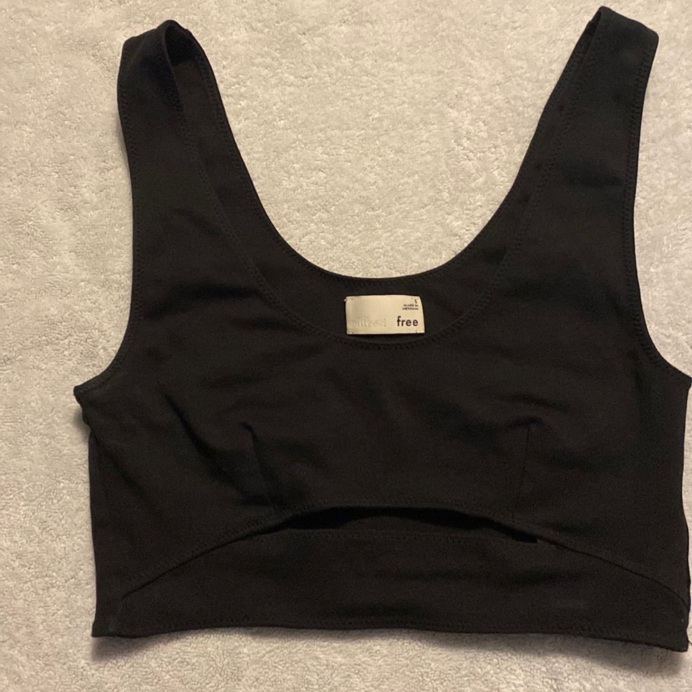 Aritzia black crop top